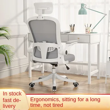 Irodai szék, háztartási számítógép széket, liftable szobás tanulók tanulmányi ergonomikus szék