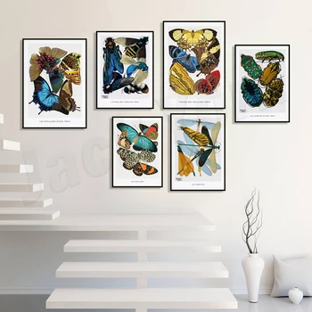 Évjárat lepke, bogár, E. A. Séguy poszter, rovar illusztráció, ajándék etymologist, kék, a természet illusztráció, a természet tanulmány